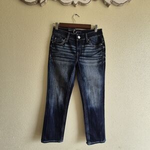 Daytrip Mid Rise Straight Jeans Size 25